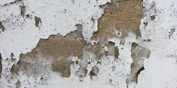 Pintar Fachadas de Empresas / Negocios / Locales Comerciales La Latina · Pintura Antihumedad / Antimoho para Humedades / Moho