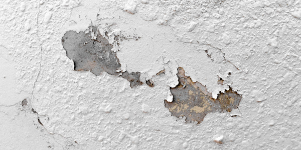 Pintar Fachadas de Naves Industriales, Fábricas y Almacenes Arganzuela · Pintura Antihumedad / Antimoho para Humedades / Moho